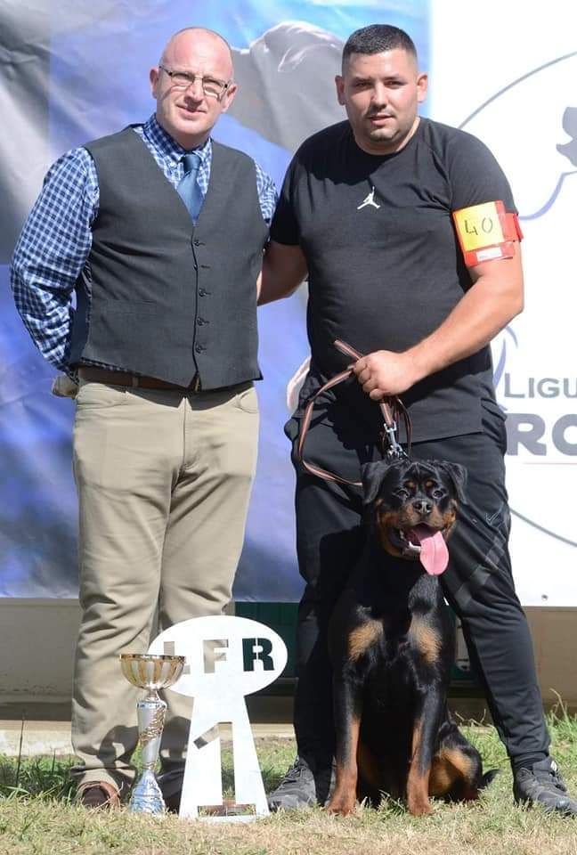 Savana Of Legend Mysteria