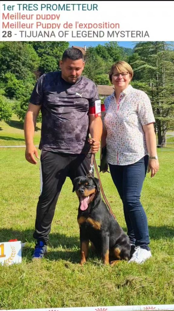 CH. Tijuana Of Legend Mysteria