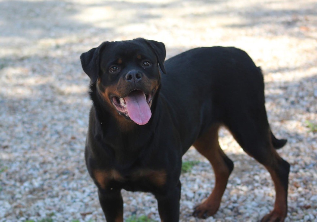 Venise Of Legend Mysteria